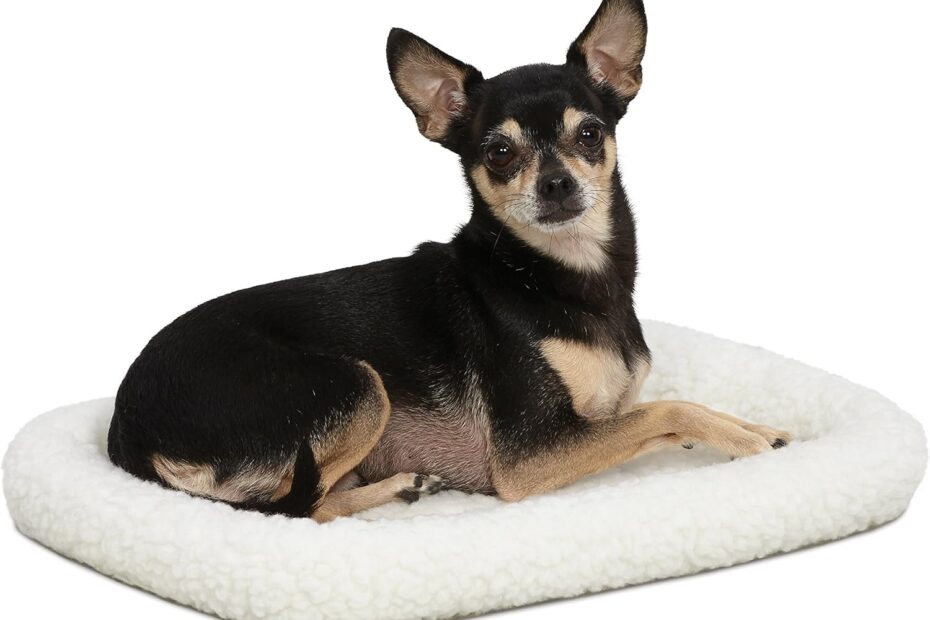 Ultimate Comfort: Review of the MidWest Homes QuietTime Dog Bed for Small Pets