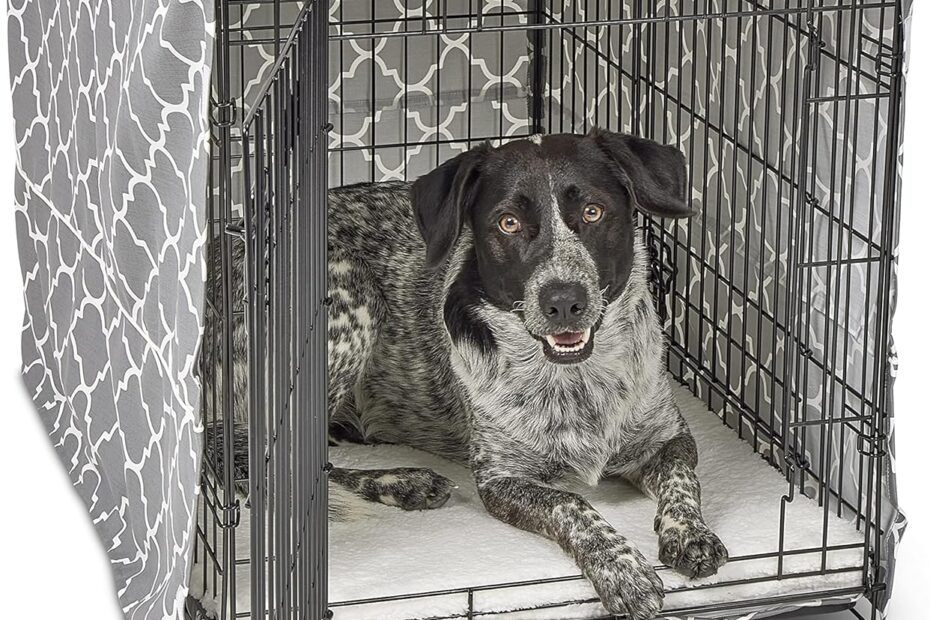 Ultimate Comfort: Review of the New World Intermediate Dog Crate Cover