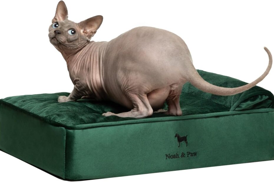 Ultimate Comfort: Review of the NOAH & PAW Small Dog Bed with Cooling Gel Memory Foam