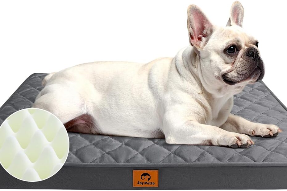 Ultimate Comfort: Review of the Orthopedic Dog Bed for Medium Dogs!