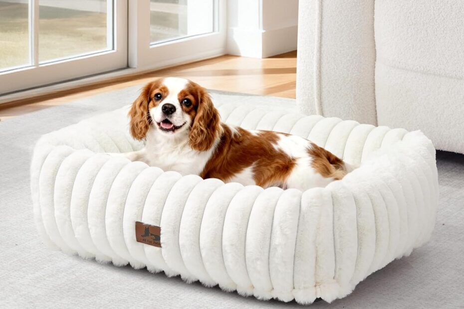Ultimate Comfort: Review of the Orthopedic Dog Bed for Small to Medium Dogs