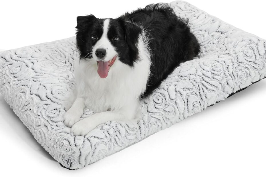 Ultimate Comfort: Review of the Orthopedic Foam Plush Dog Bed
