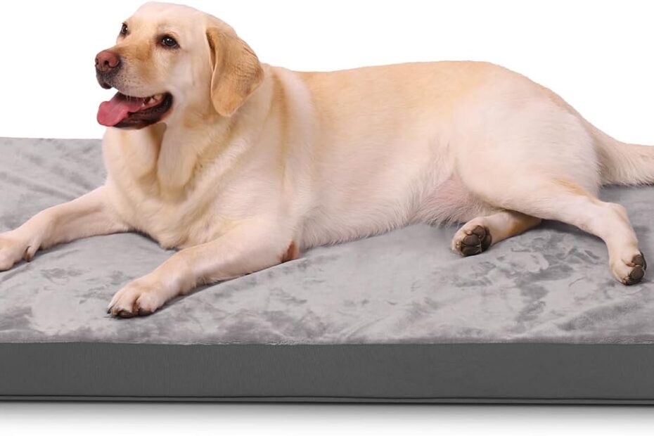 Ultimate Comfort: Review of the Orthopedic Reversible Dog Bed for Your Furry Friend!