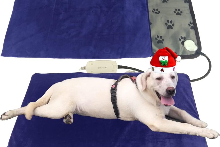Ultimate Comfort: Review of the Pet Heating Pad for Large Dogs & Cats