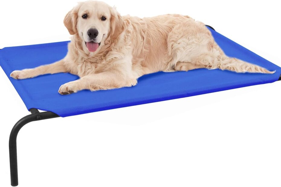 Ultimate Comfort: Review of the PHYEX Elevated Dog Bed for Large Canines