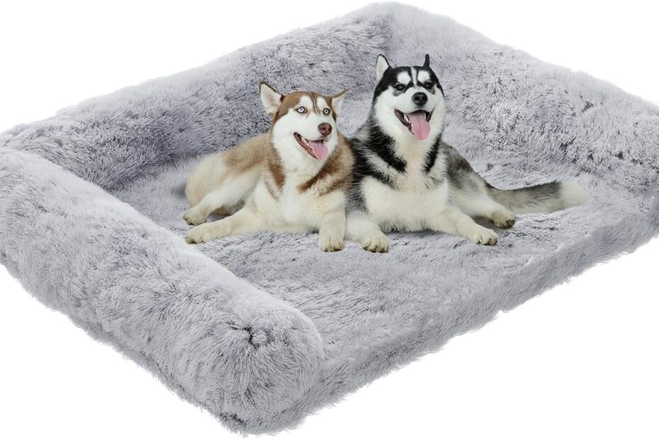 Ultimate Comfort: Review of the Simple Trending Orthopedic Dog Bed for Large Dogs