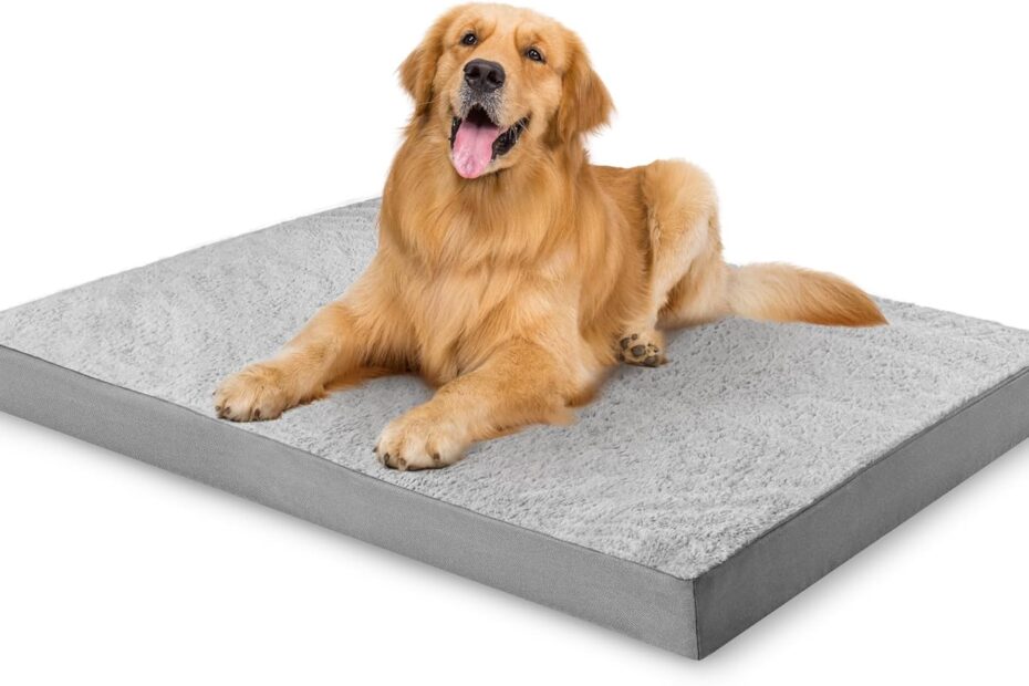 Ultimate Comfort: Review of the Simple Trending Orthopedic Dog Bed for Large Dogs