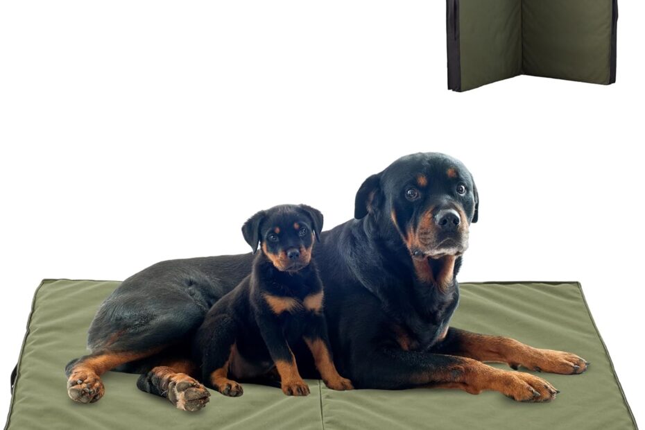 Ultimate Comfort: Review of the Waterproof Orthopedic Outdoor Dog Bed for Large Dogs