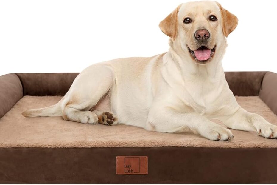 Ultimate Comfort: Review of the XL Orthopedic Dog Bed for Large Dogs