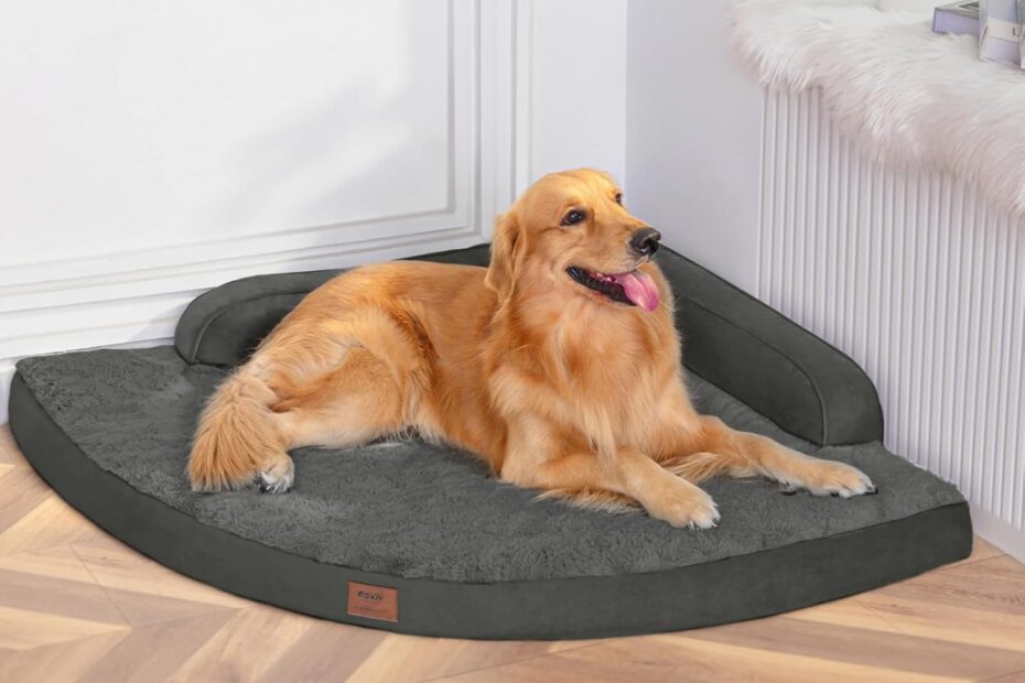 Ultimate Comfort: Review of the XL Orthopedic Egg-Crate Memory Foam Dog Bed
