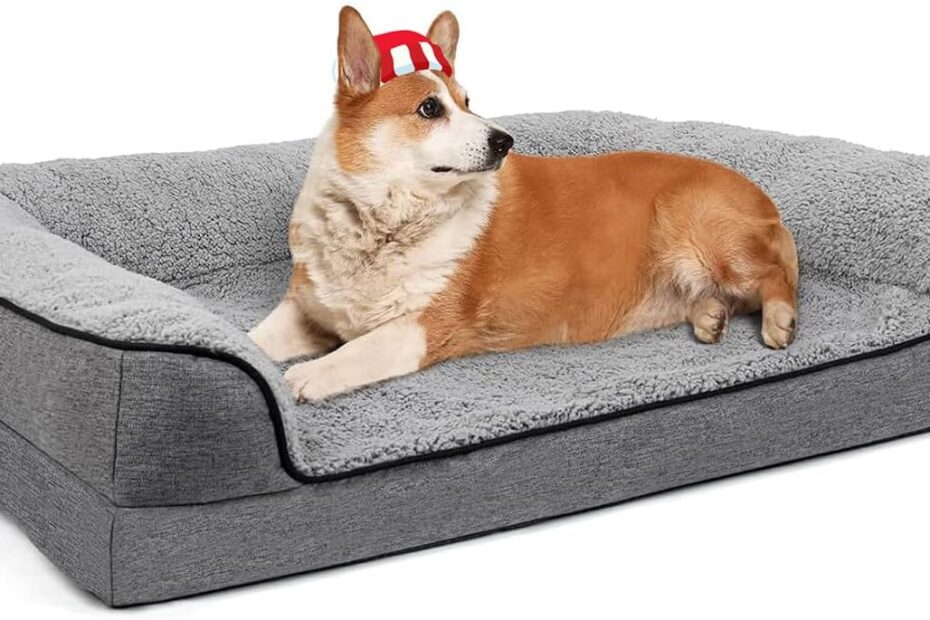 Ultimate Comfort: The Best Bolster Couch Dog Bed for Large Dogs!
