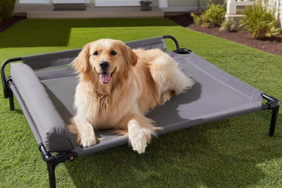 Ultimate Comfort: The Best Cooling Elevated Dog Beds for Your Large Pet