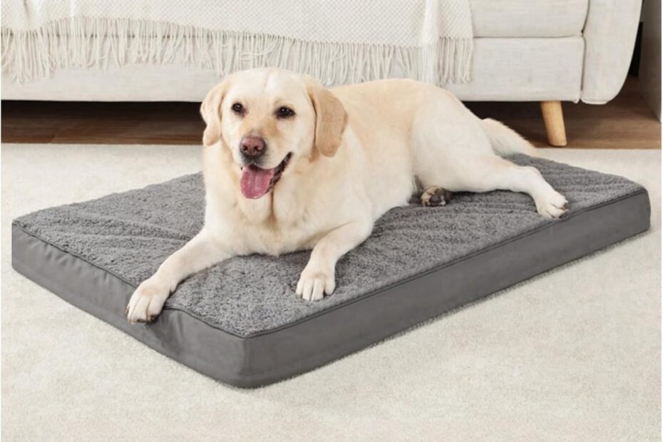 Ultimate Comfort: The Best Orthopedic Dog Bed for Large and Medium Dogs!