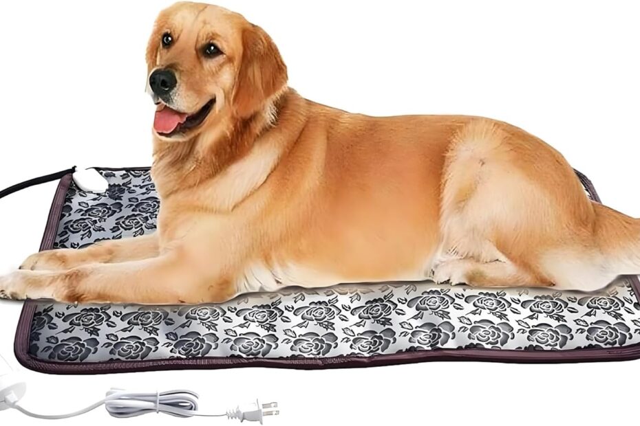 Ultimate Comfort: The Heated Dog Bed Review for Happy Pups!