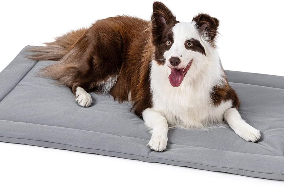 Ultimate Comfort: The Indestructible Cybarmour Dog Crate Pad Review