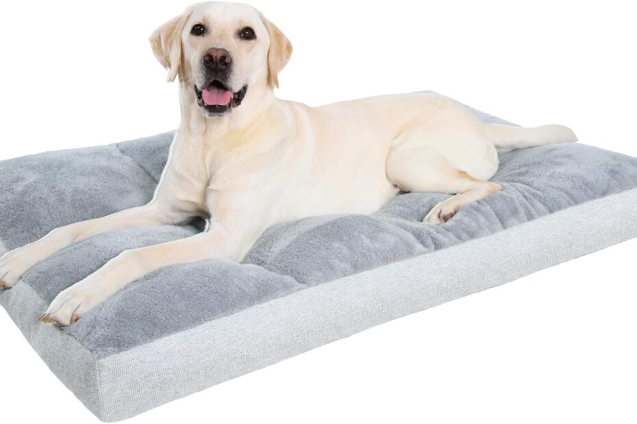 Ultimate Comfort: The XL Washable Dog Bed Every Large Dog Will Love!