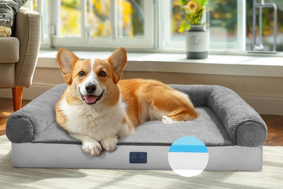 Ultimate Comfort: Veehoo Memory Foam Orthopedic Dog Bed Reviewed