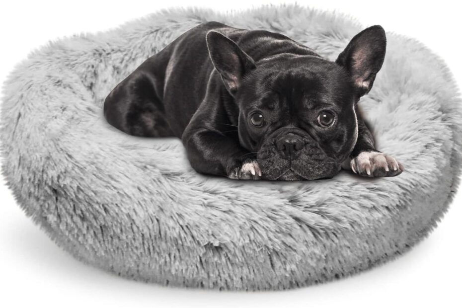 Ultimate Comfort: Whiskers & Friends Orthopedic Pet Bed Review