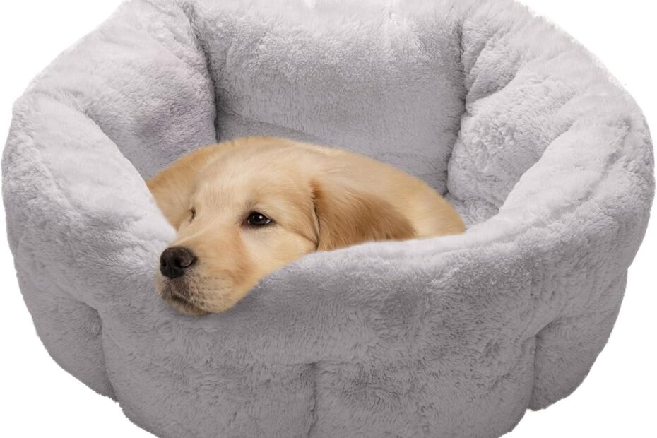 Ultimate Cozy Comfort: Furhaven 23" Self-Warming Pet Bed Review