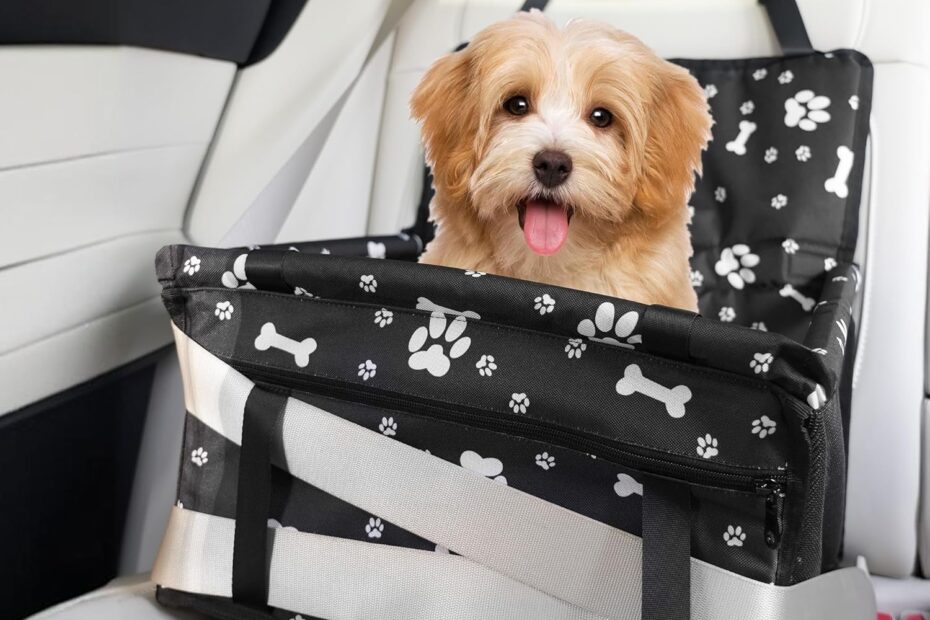 Ultimate Dog Car Seat: Safe & Stylish Travel for Your Pup!