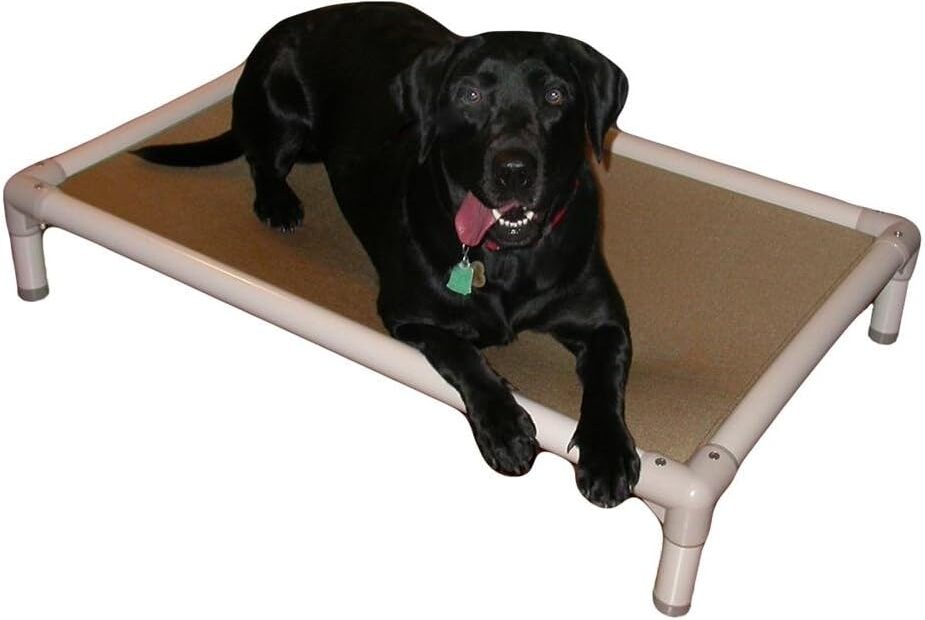 Ultimate Durability: The Kuranda Chewproof Bed Review