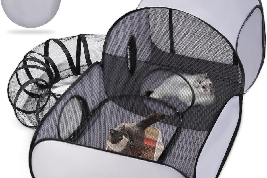 Ultimate Guide to the Tailtastic Cat Enclosure: The Perfect Playpen for Your Furry Friends