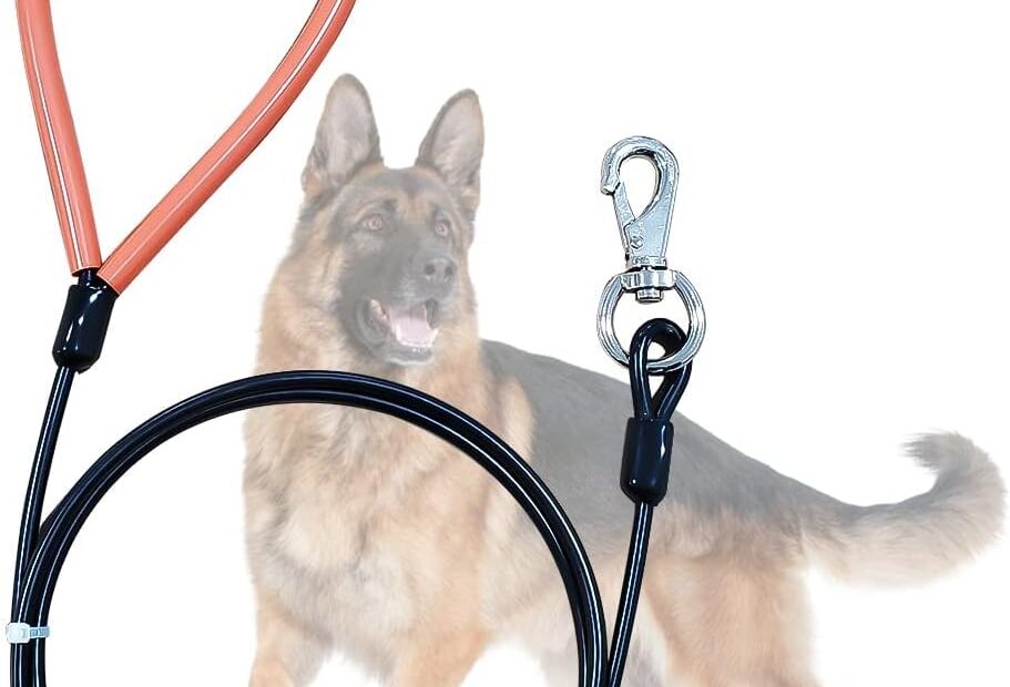 Ultimate Heavy Duty Dog Leash: Unmatched Strength for Your Large Pup!