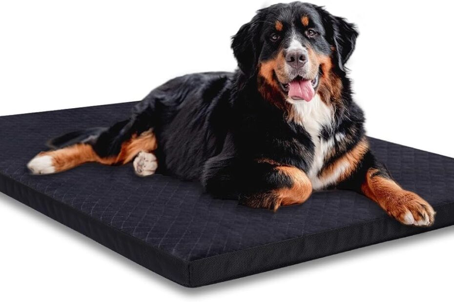 Ultimate Indestructible Dog Bed: The Perfect Chew-Proof Solution for Your Aggressive Chewer!