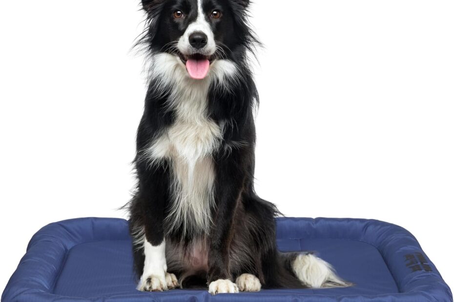 Ultimate Outdoor Dog Bed: Chew-Proof & Waterproof Comfort for Your Pet!