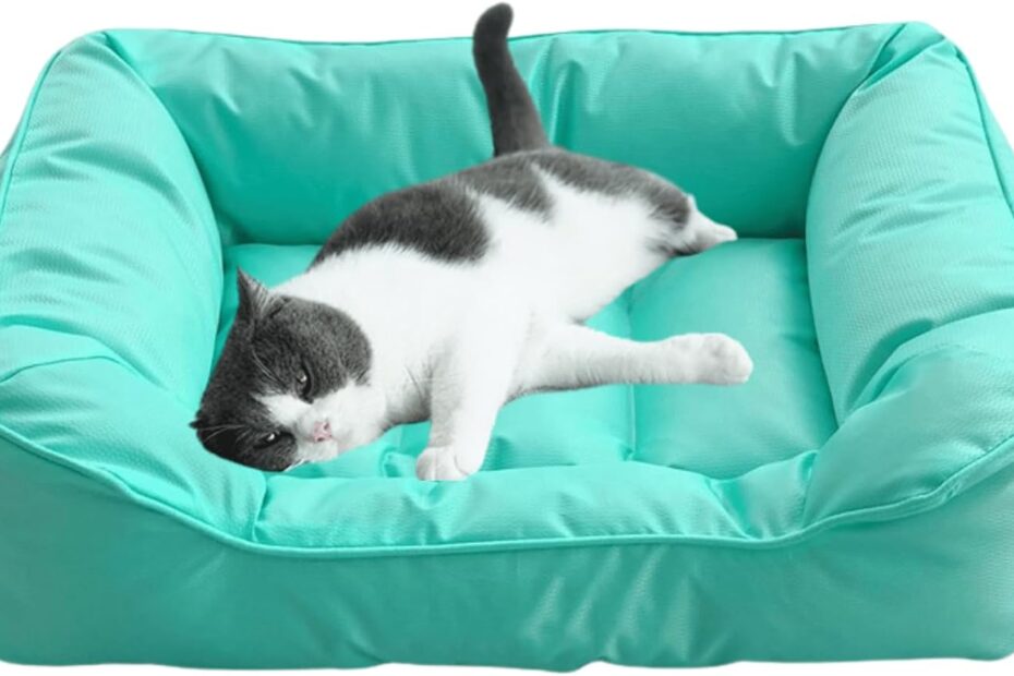 Ultimate Review: The Water-Resistant Dog Bed Mat That's Chew-Proof & Portable!