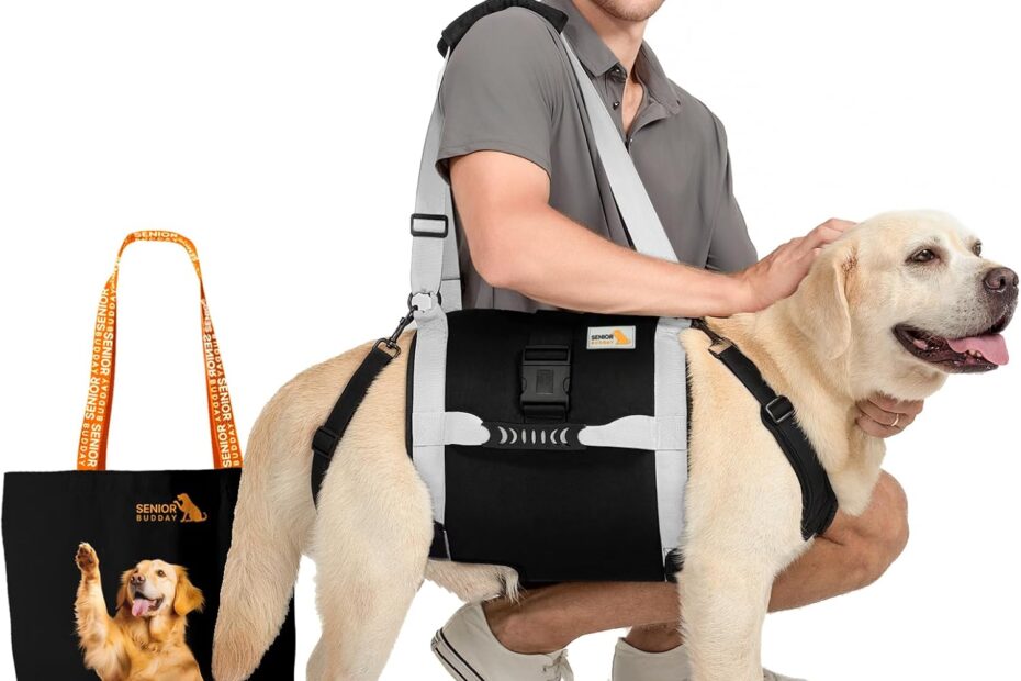 Ultimate Support: Dog Lift Harness for Large Dogs – A Review for Mobility Needs!