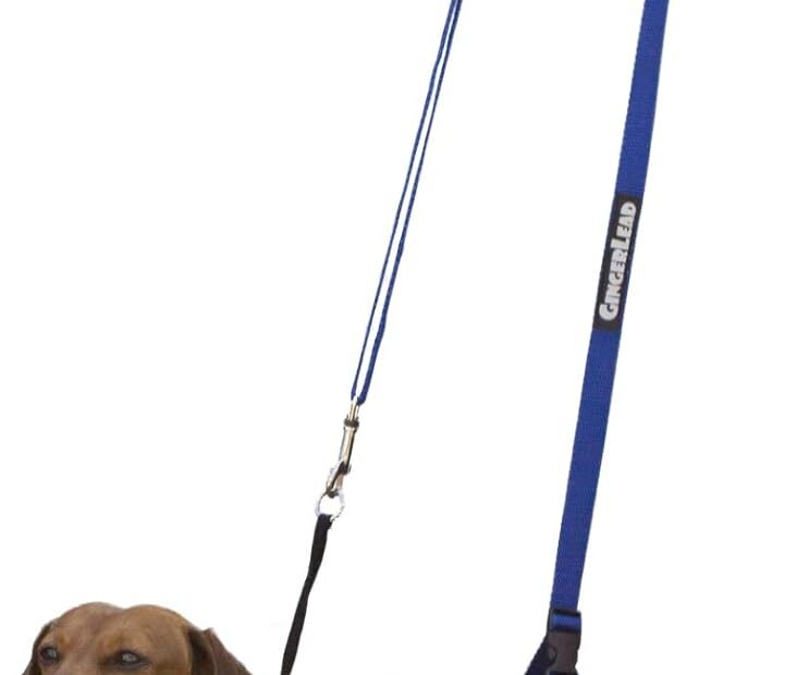 Ultimate Support for Little Pets: Dog Support Sling Harness Review