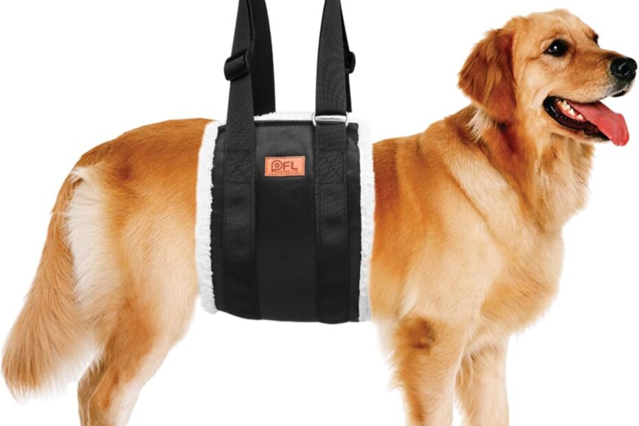 Ultimate Support: Review of the Adjustable Dog Lift Harness for Large Dogs