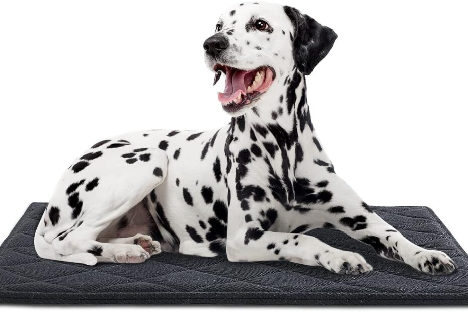 Unbreakable Comfort: Review of the BALAPET Chew Proof Dog Bed for Medium Dogs