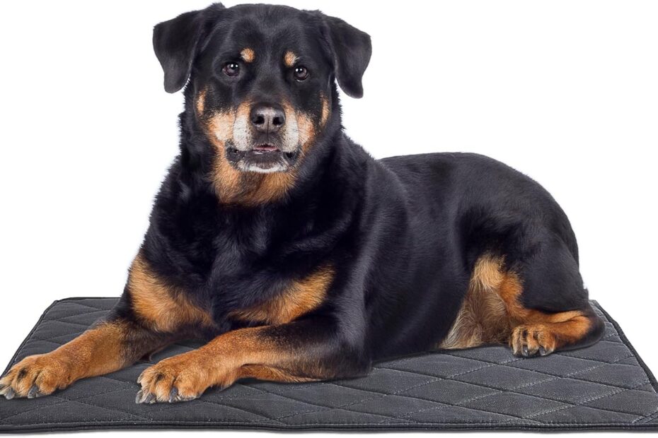 Unbreakable Comfort: The Ultimate Review of MABOZOO Chew Proof Dog Bed for Aggressive Chewers