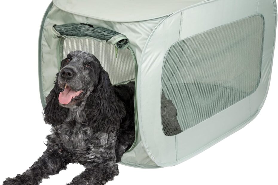 Unleash Adventure: Review of SportPet Designs Soft Sided Pop-Open Kennels in Light Green