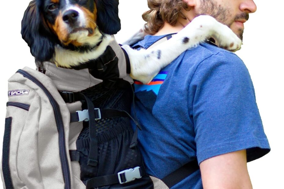 Unleash Adventure: The K9 Sport Sack Plus 2 Review - Perfect for Small Dogs!