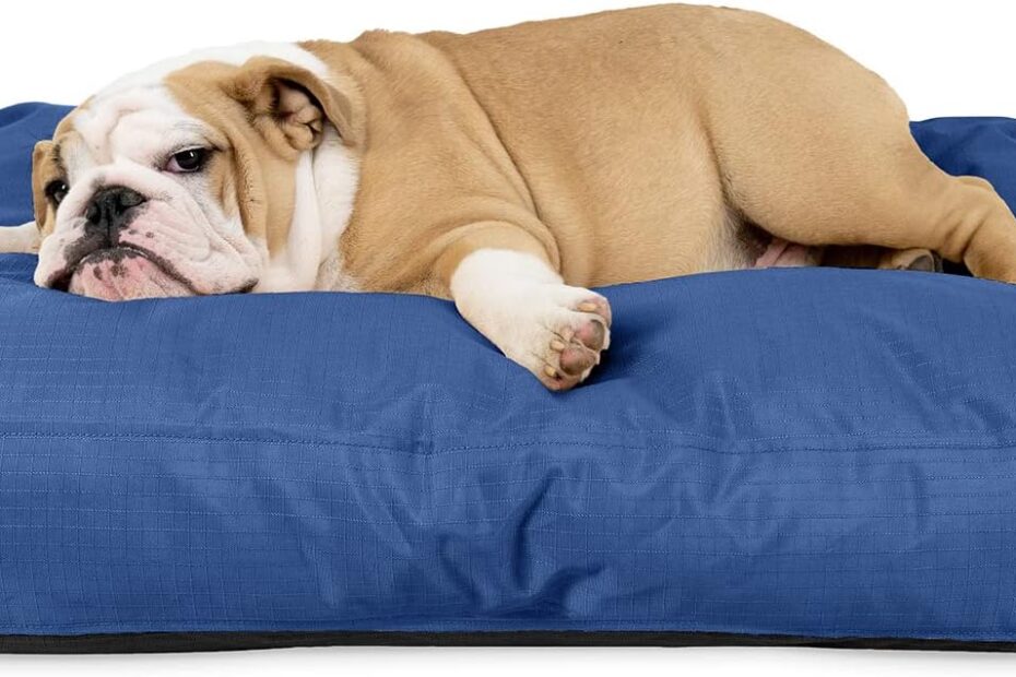 Unleash Comfort: The K9 Ballistics Tough Rectangle Pillow Dog Bed Review