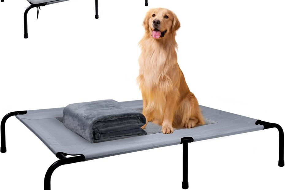 Unleash Comfort: The Ultimate Outdoor Elevated Bed for Large Dogs!