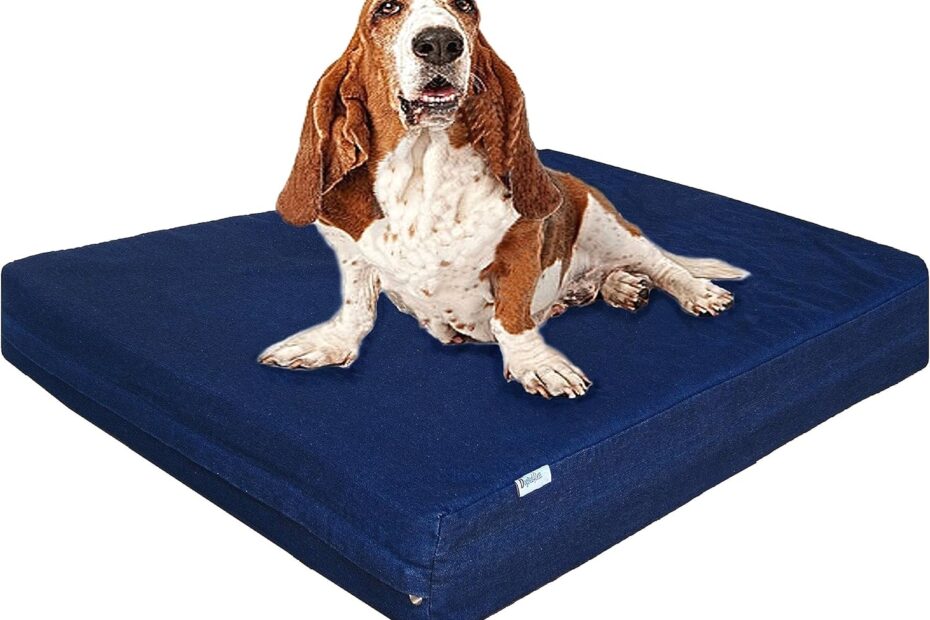 Unleash Comfort: The Ultimate Review of Dogbed4less Large Orthopedic Memory Foam Dog Bed