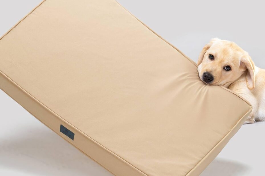 Unleash Comfort: The Ultimate Veehoo Chew Proof Dog Bed Review