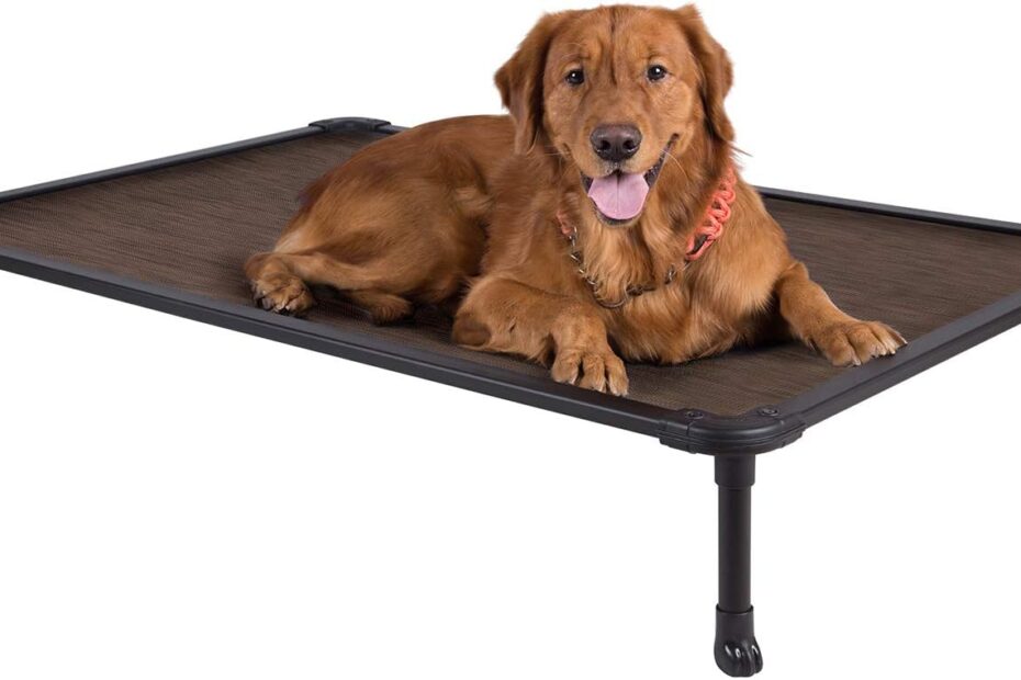 Unleash Comfort: Veehoo Chew Proof Elevated Dog Bed Review
