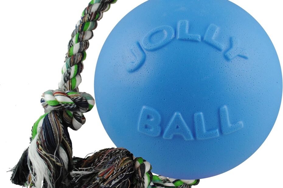Unleash Fun: A Review of the Jolly Pets Romp-n-Roll Dog Toy!