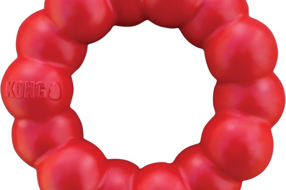Unleash Fun and Dental Health with the KONG Ring: The Ultimate Chew Toy for Dogs!