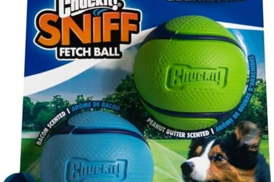 Unleash Fun: Chuckit! Sniff Ball - The Ultimate Scented Fetch Toy for Your Dog!