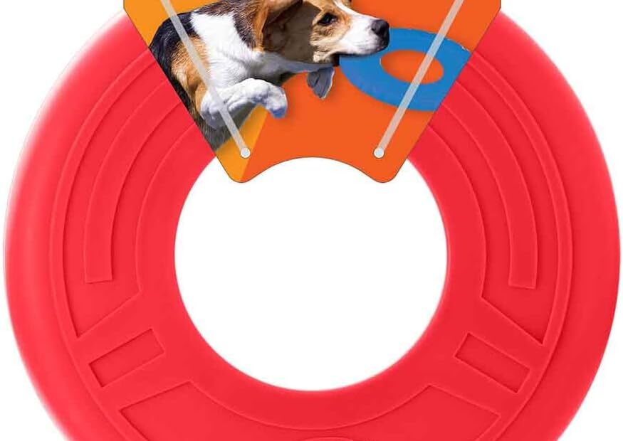 Unleash Fun: Nerf Dog Atomic Flyer Review for Epic Outdoor Fetch!