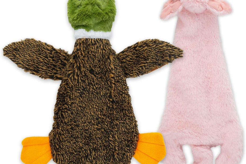 Unleash Fun: The Best Pet Supplies 2-in-1 Stuffless Squeaky Dog Toys Review