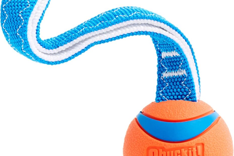 Unleash Playtime: Chuckit! Ultra Tug Toy Review for Active Dogs!