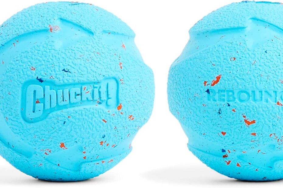 Unleash the Fun: Chuckit! Rebounce Ball - The Ultimate Fetch Toy for Active Dogs!