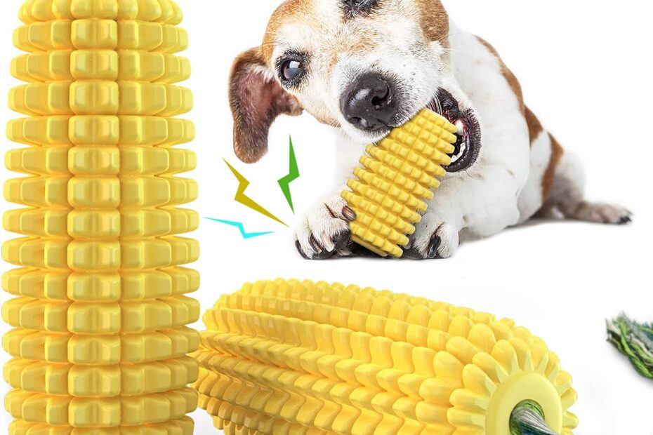 Unleash the Fun: The Best Indestructible Dog Chew Toy for Aggressive Chewers!